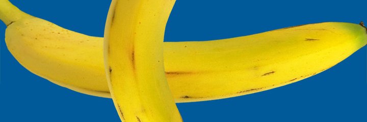Splaadnacke's profile banner image
