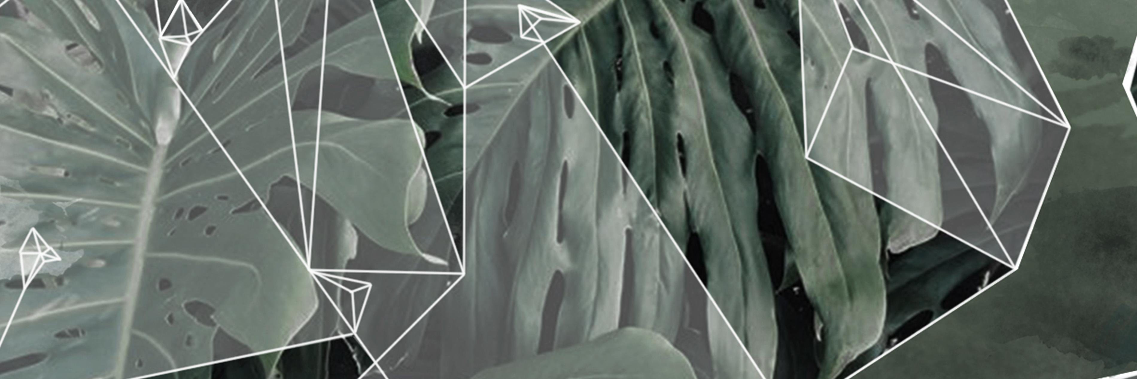 Roseta ( ꈍᴗꈍ) banner