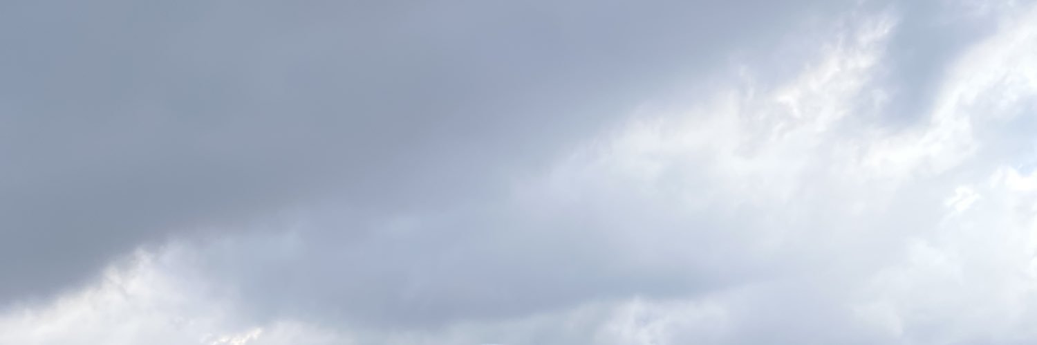 edel_guima's profile banner image