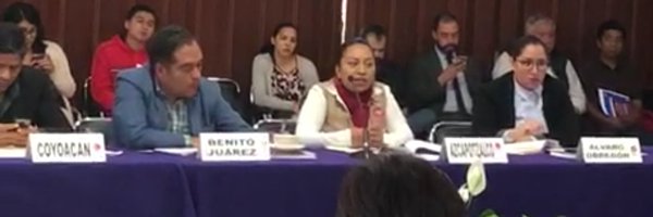 carolnoodle Profile Banner