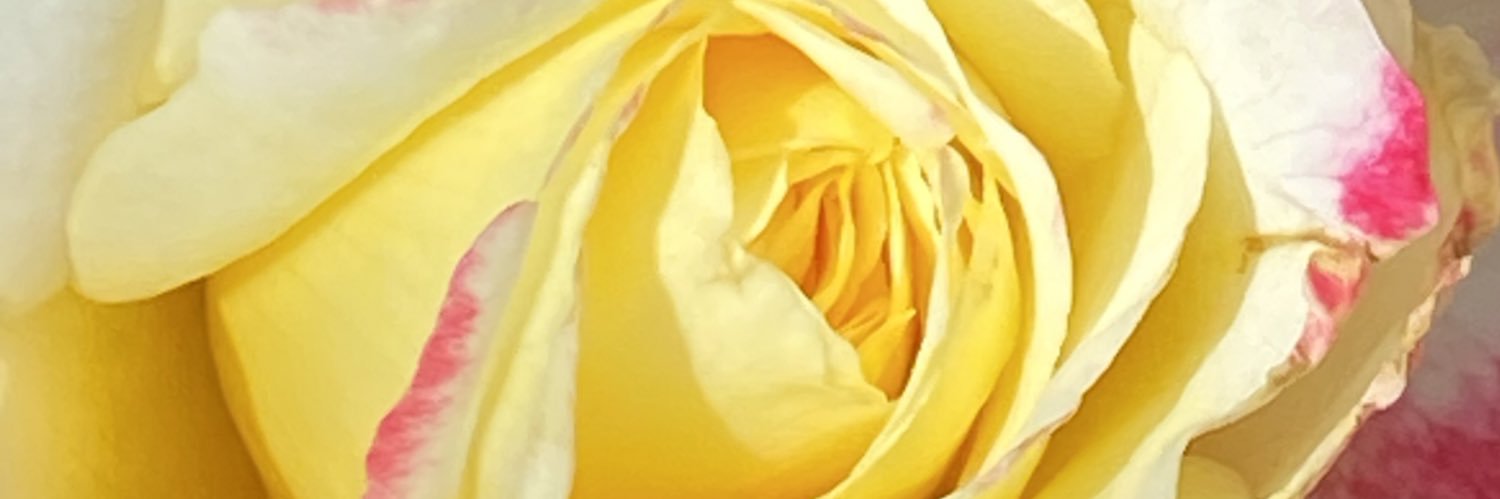 BeehiveMom's profile banner image