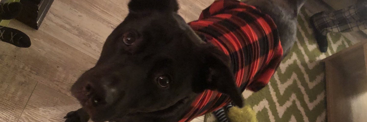PaulFilipski's profile banner image