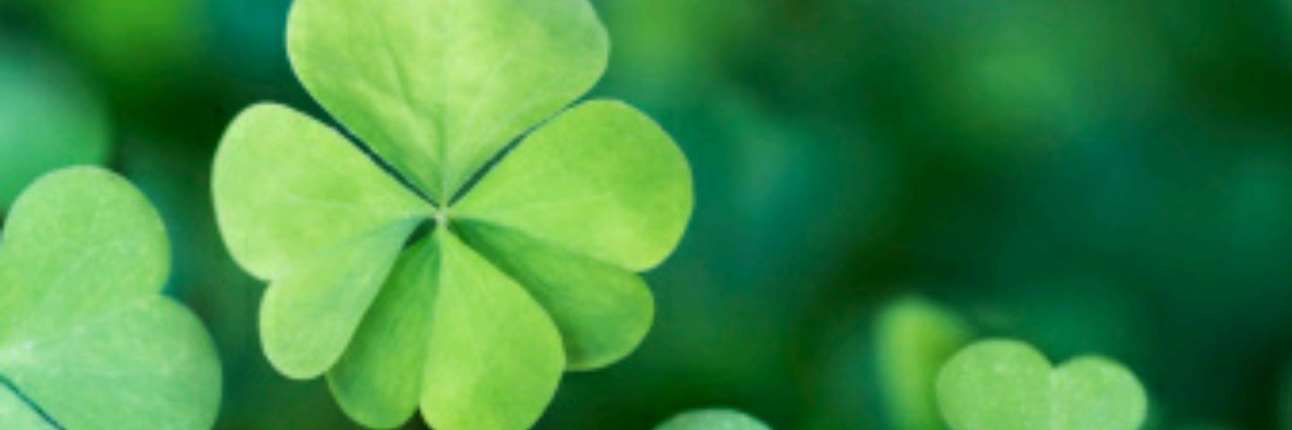 Joo_Young_b's profile banner image