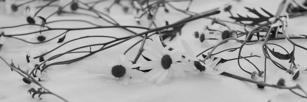 m_btl8's profile banner image