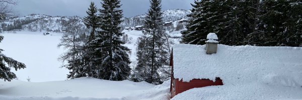 janfrick Profile Banner