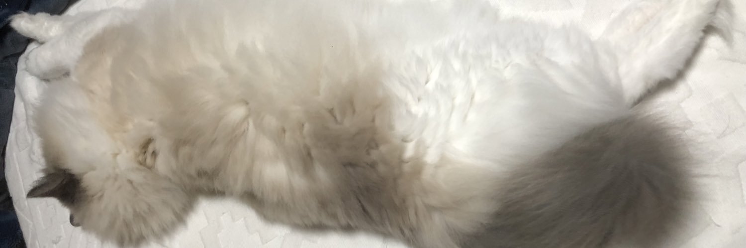 こりぃちゃんぴっぐ banner