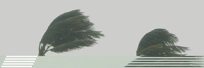 Smokewoods's profile banner image