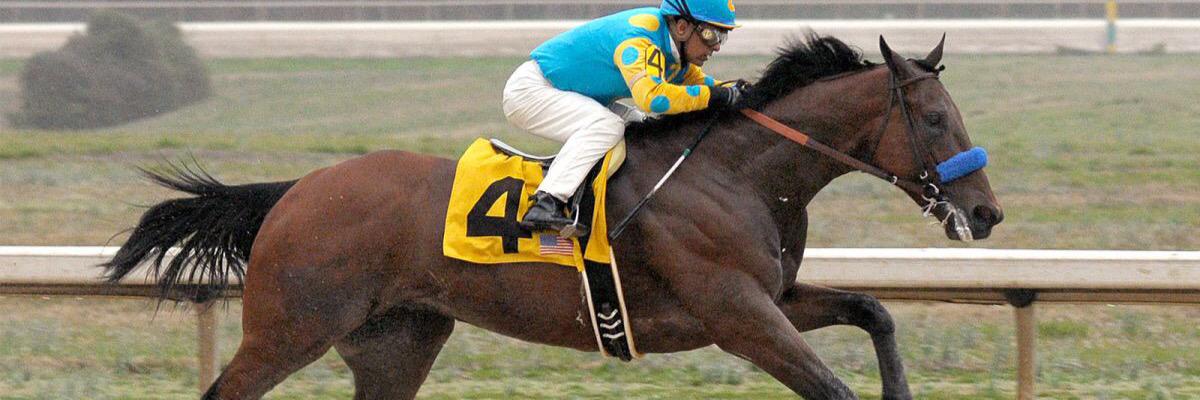 DerbyWinner2015's profile banner image