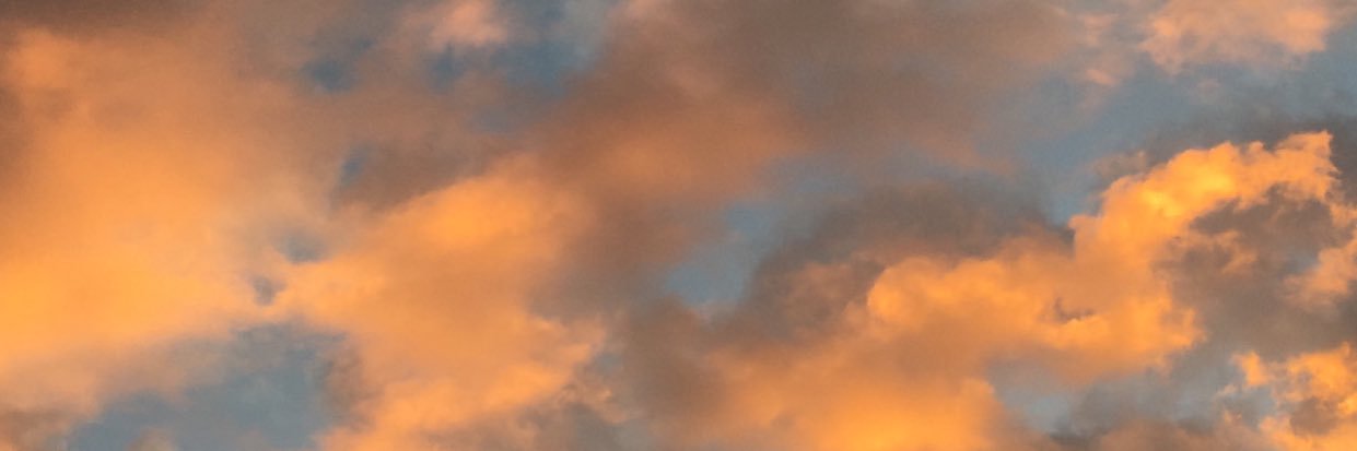 lingsterrn's profile banner image