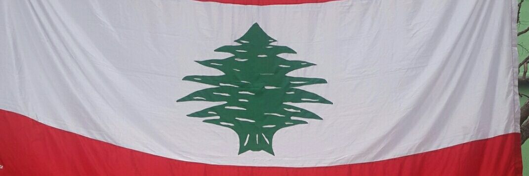 amalzaoun's profile banner image
