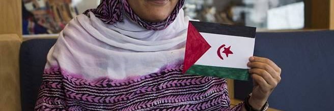 Wahba201's profile banner image