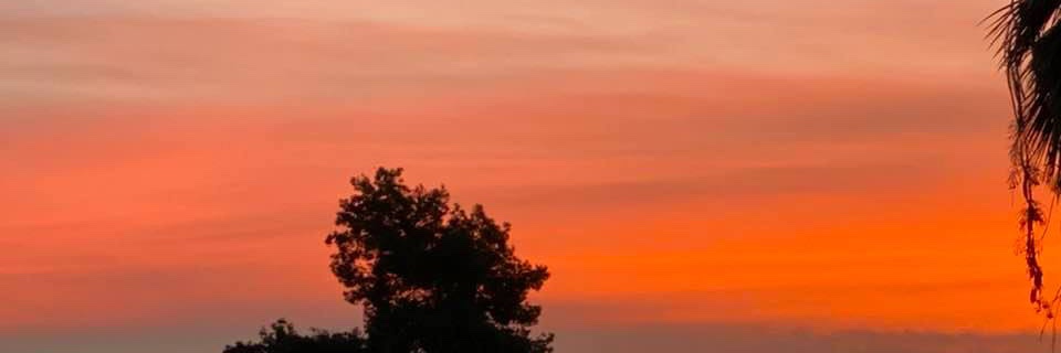 Martin Kratz, KC banner