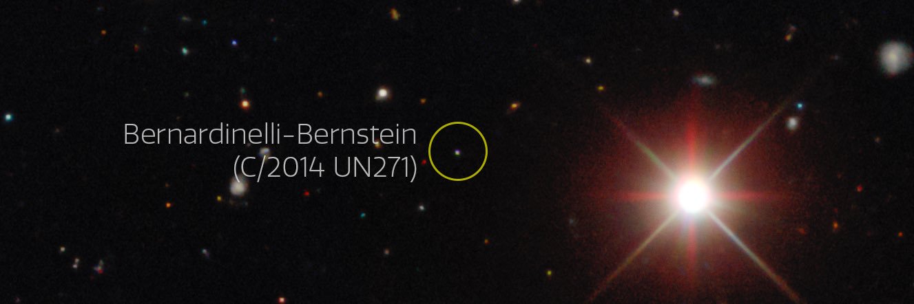 Dr. Pedro Bernardinelli banner