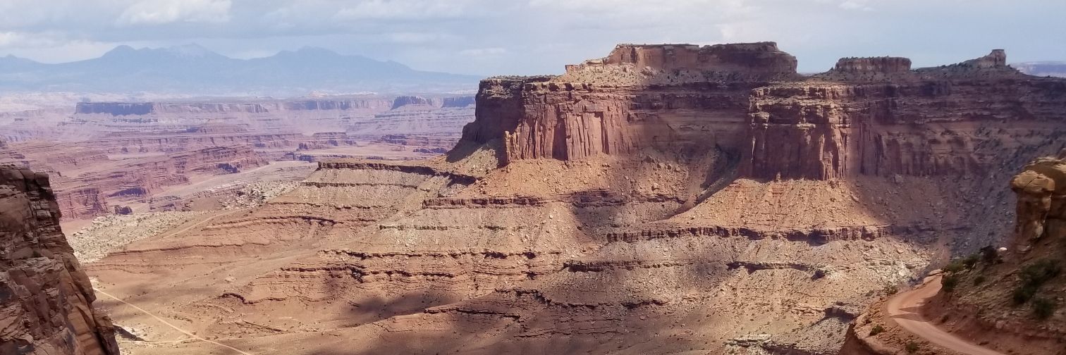 MitchCole63's profile banner image