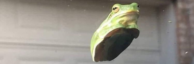 Rainbow121Neon's profile banner image