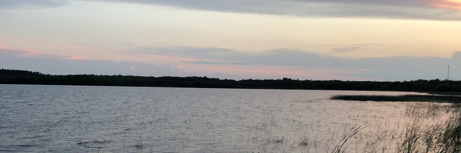 EmilyTjader's profile banner image