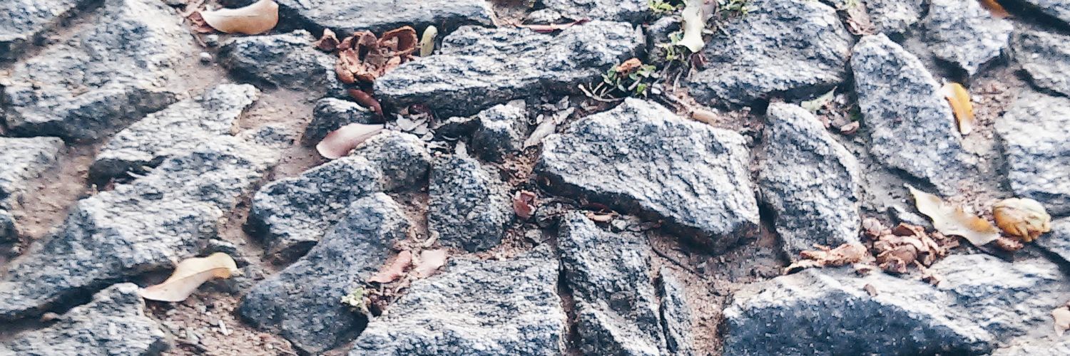 mandys_snts's profile banner image