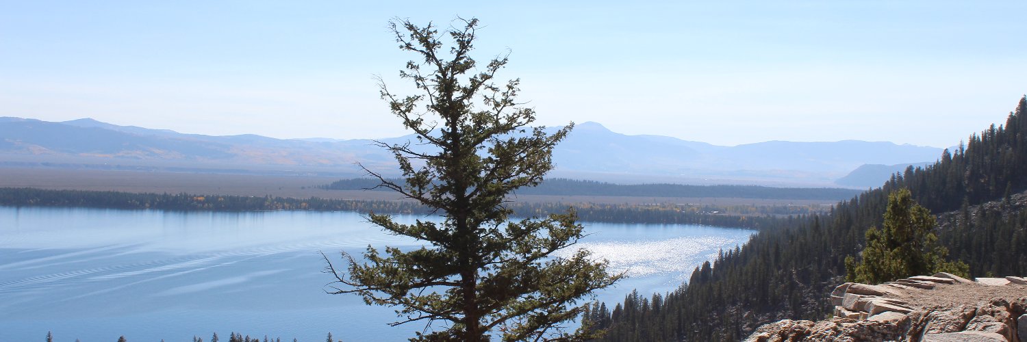 Mitch Miller, FCSI banner