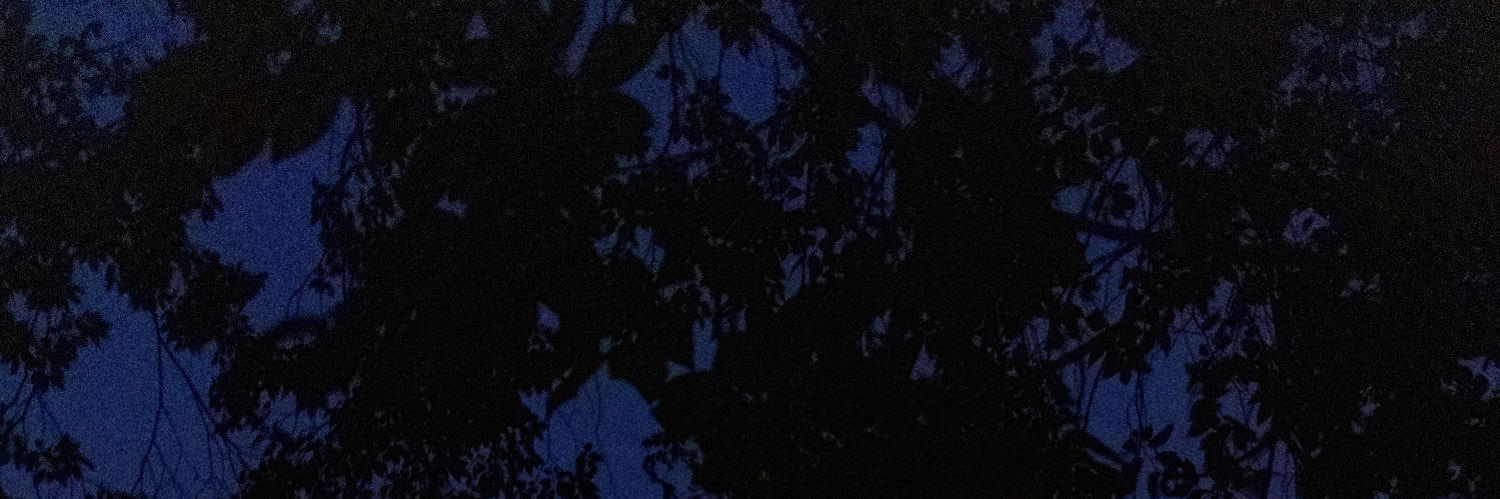 jakelorgee's profile banner image
