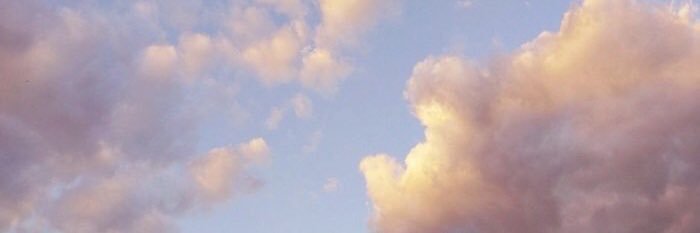 hxzzasdimples's profile banner image