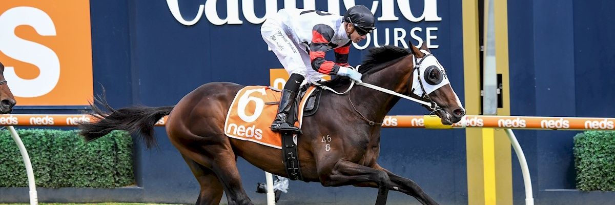 Importracingaus's profile banner image