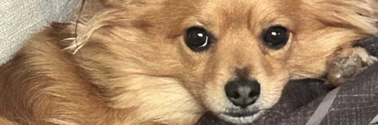 lordxizzy's profile banner image