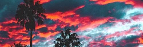 sweetietuti's profile banner image