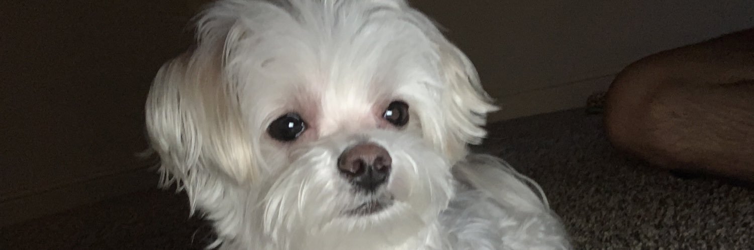 h banner