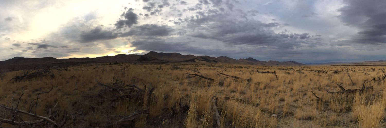 CadenCarter5's profile banner image
