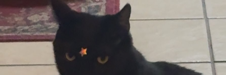 pb_valdezzz's profile banner image