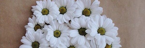 floral1995's profile banner image