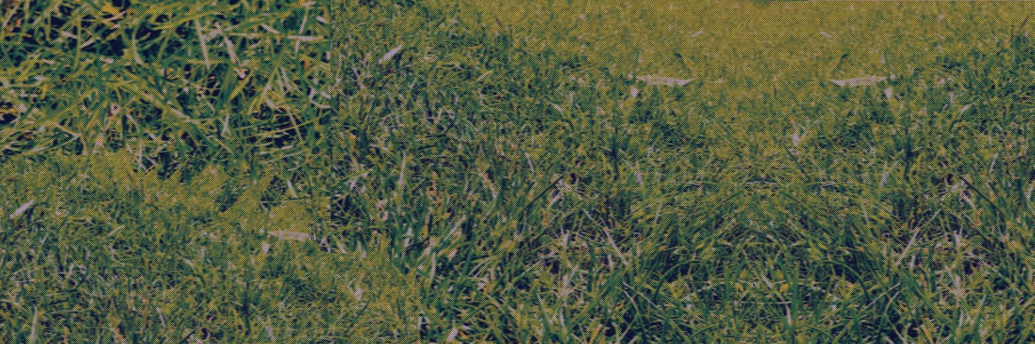 MO0o0O's banner