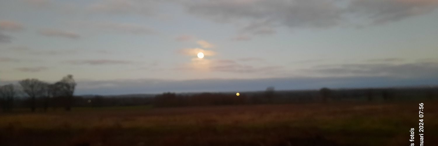 ElmaMens's profile banner image