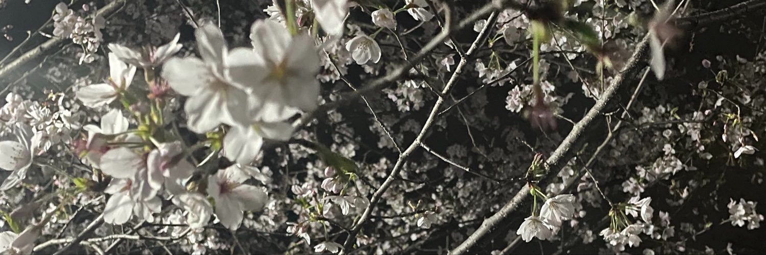 ciel_yoki's profile banner image