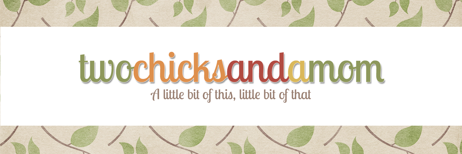 2chicksandamom's profile banner image
