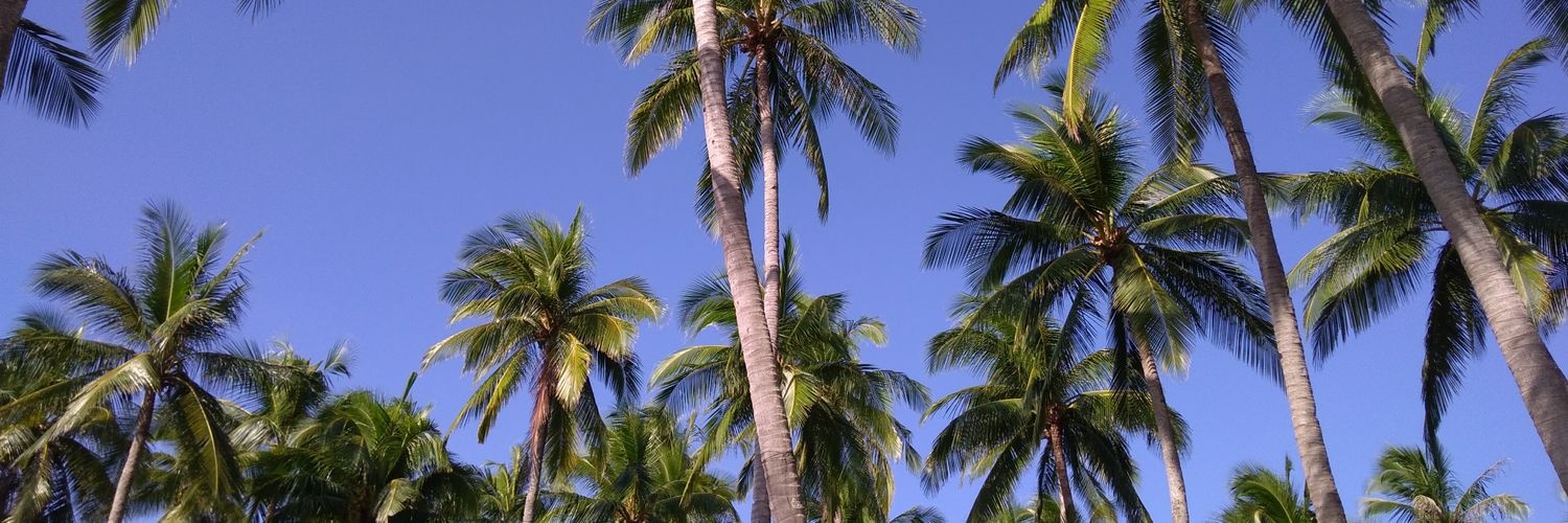 coeurgari's profile banner image