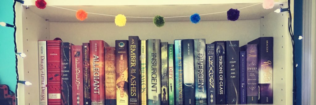 paigelerwill's profile banner image