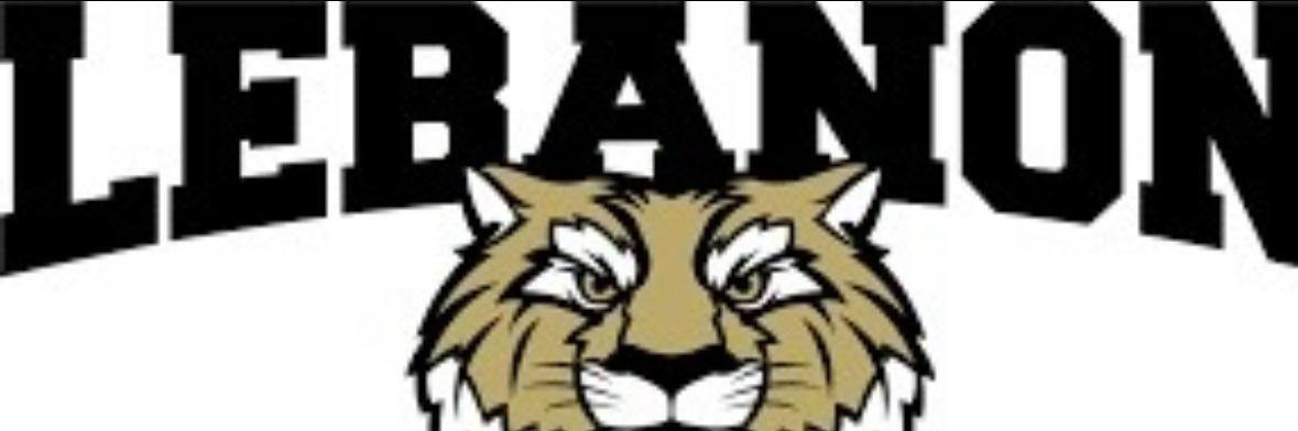 Lebanon Tigers Baseball⚾️ banner