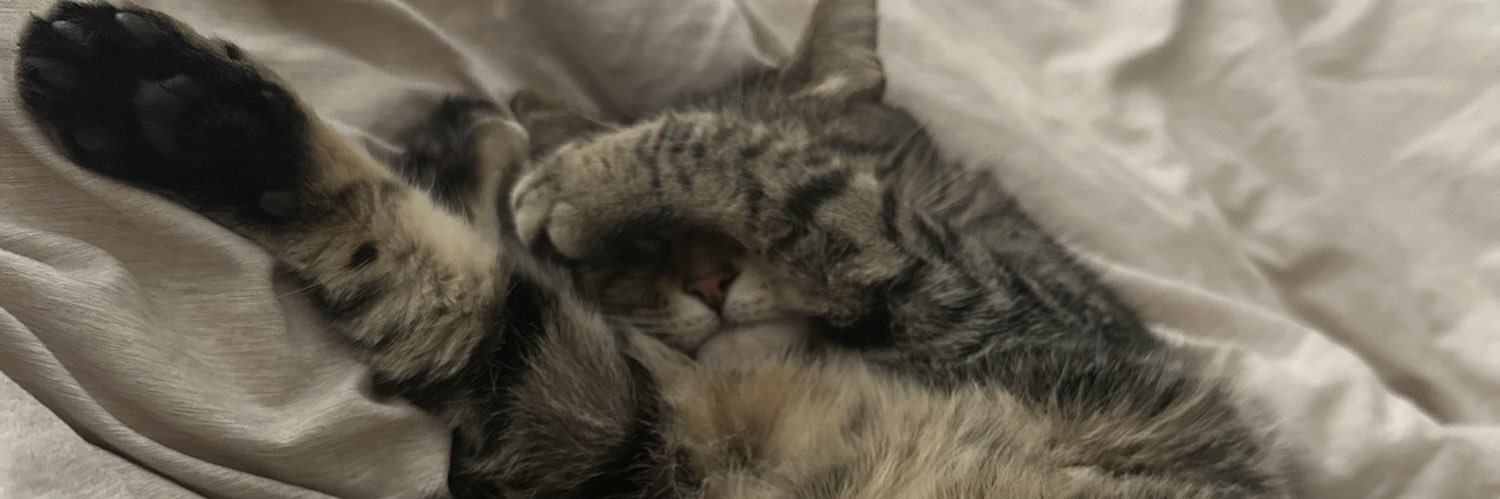 saraanicoleee1's profile banner image