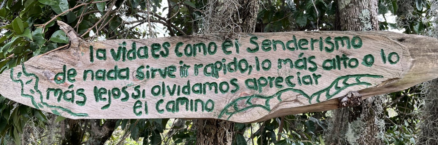 SAlvarez1113's profile banner image