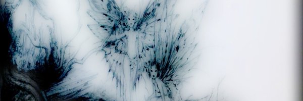 oblivionfae Profile Banner