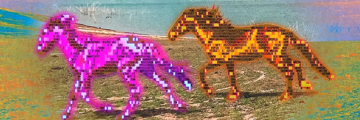 cactusmatchbox's profile banner image
