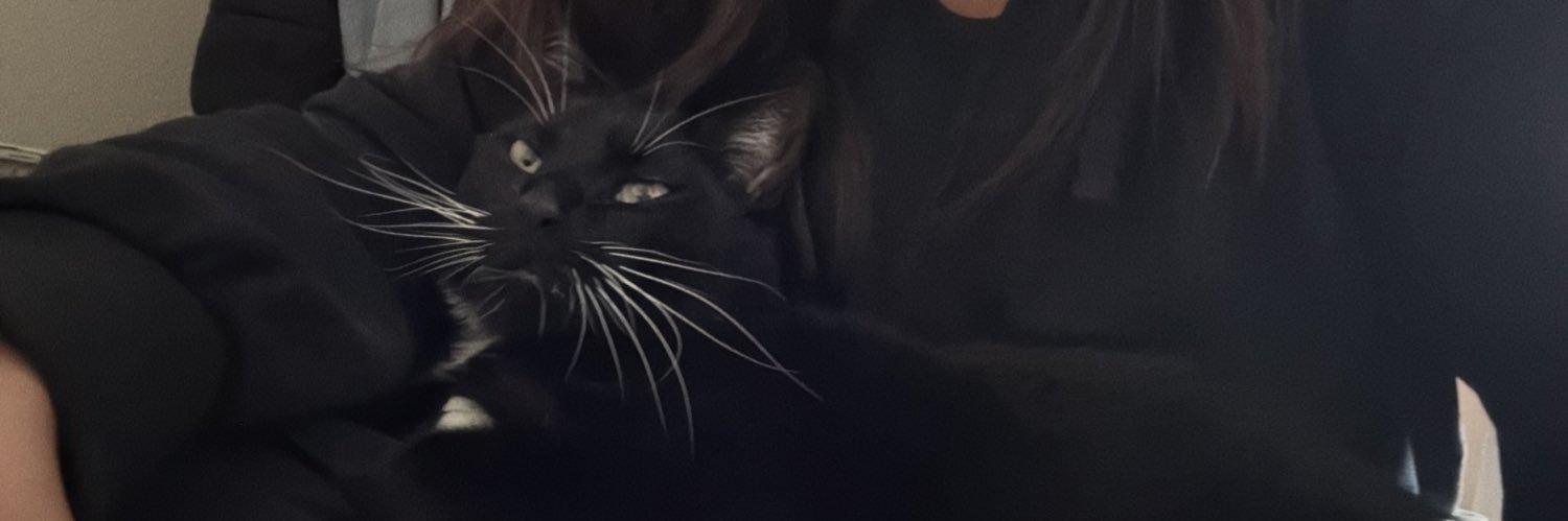 gaassycat's profile banner image