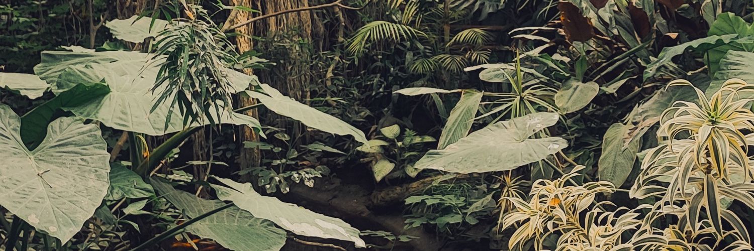 JMenbatles..🐙 banner