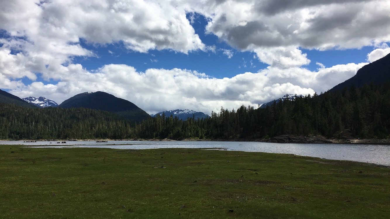 Maneek Chahal banner