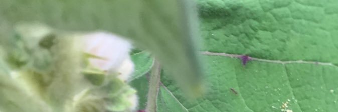 robbradley99's profile banner image