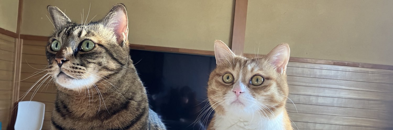 しん@Take up Electricity worker banner