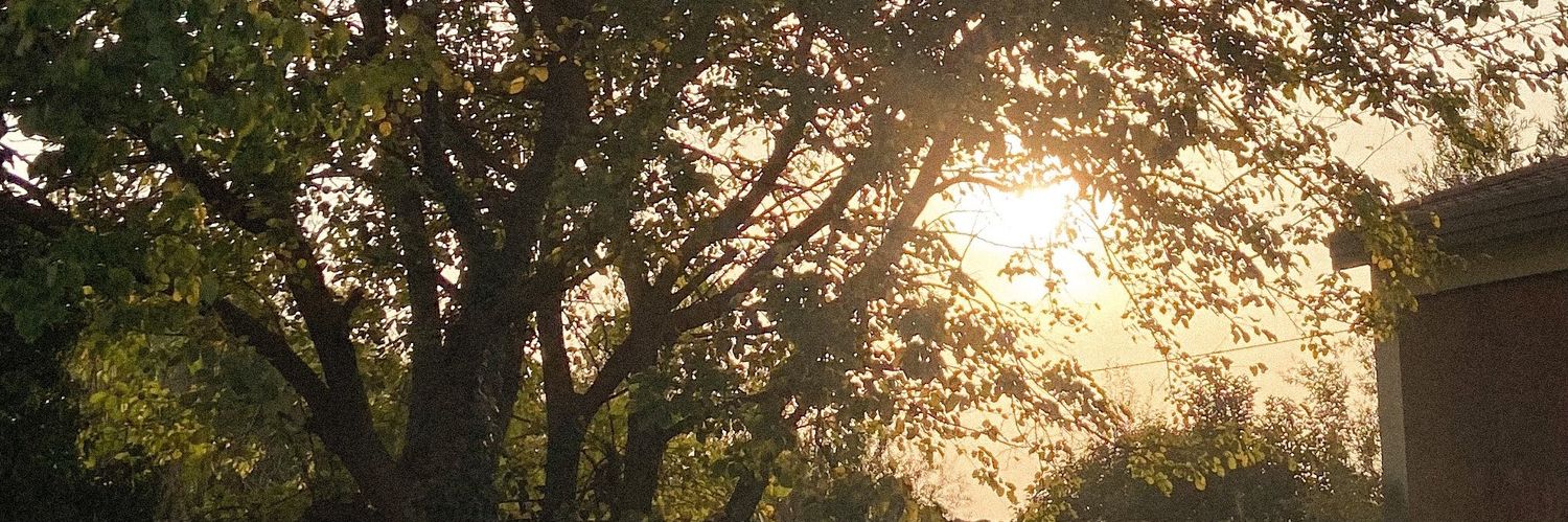 mengraWrawr's profile banner image