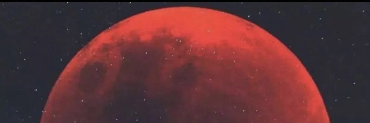 King_XMW's profile banner image