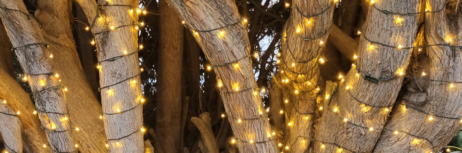 chela_m25's profile banner image